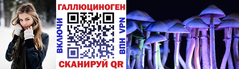 Псилоцибиновые грибы Cubensis  купить закладку  Бежецк 
